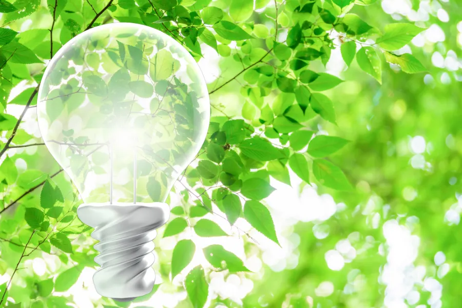 CO₂を出さないクリーンな再生可能エネルギー