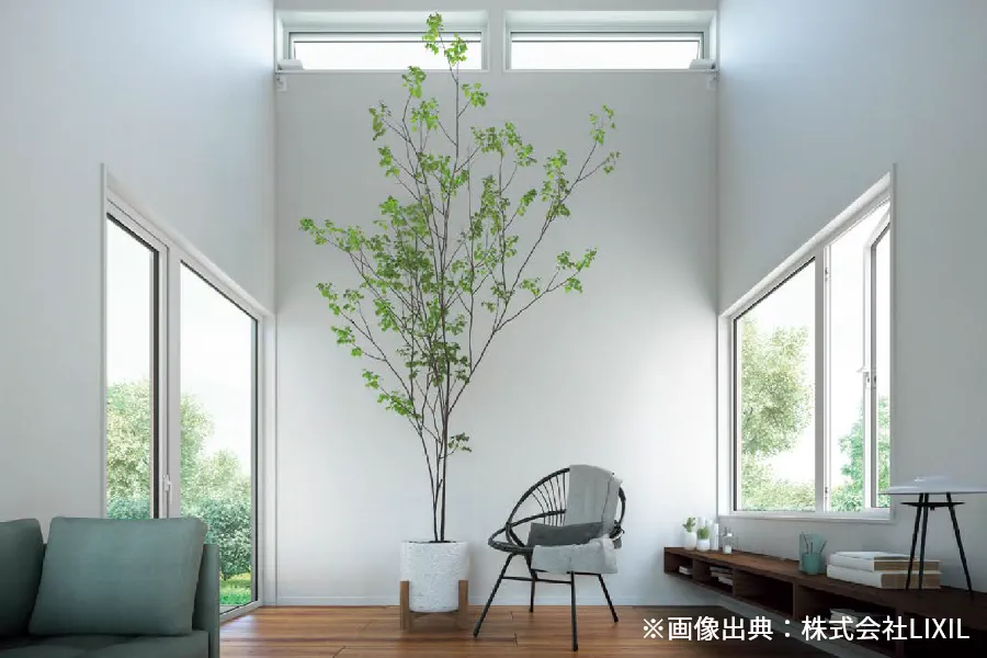 アメリカカンザイシロアリ